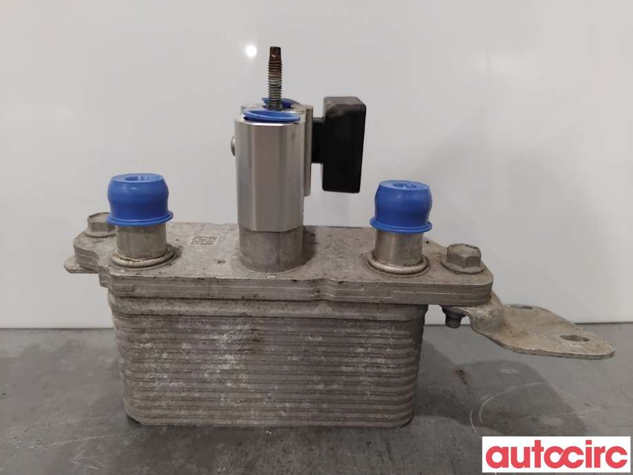 Varmeapparat diverse til Tesla Model S 2016-2021 (Fase 2)  (TESLA|1037357-00-F|)