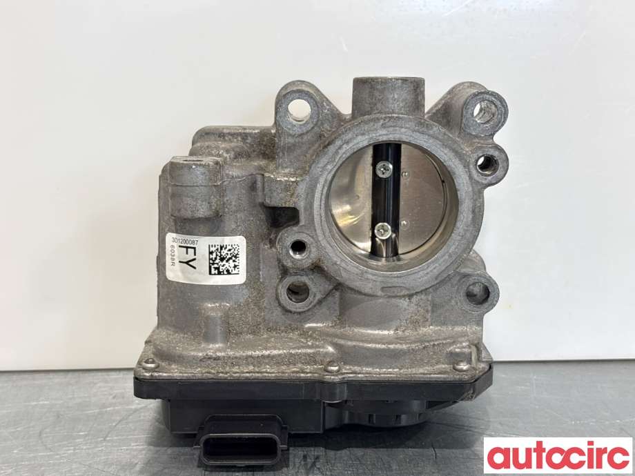 Spjeldhus til Renault Clio, 2012-2016 (Type IV, Fase 1) (RENAULT|161206038R)