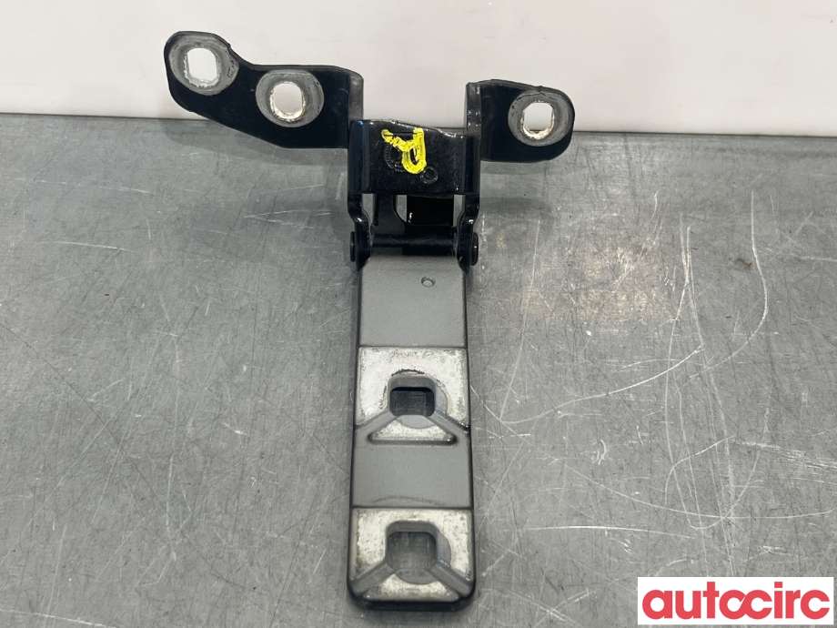 Hengsler til BMW X5 2013-2018 (F15) (F15) (BMW|41007378128|)