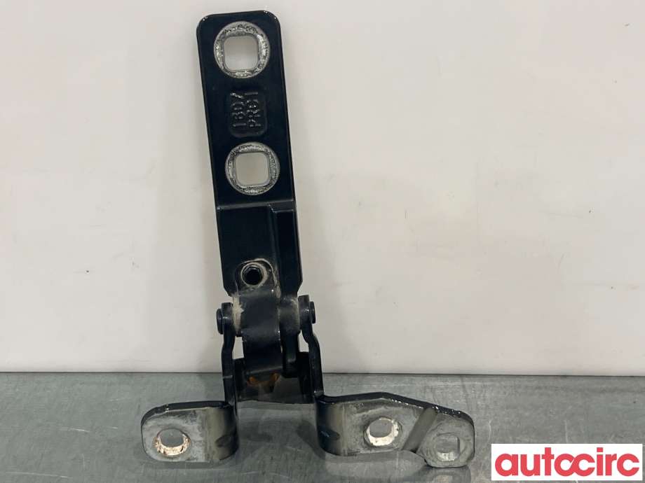 Hengsler til BMW X5 2013-2018 (F15) (F15) (BMW|41007378127|)