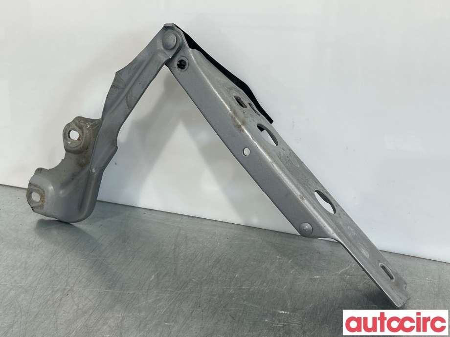 Panserhengsler til Audi A6, Allroad, 2015-2019 (Type III, Fase 2) (C7) (C7) (AUDI|4G8823302E)
