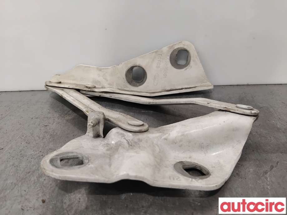 Panserhengsler til Ford Transit Courier 2018-2023 (Type I, Fase 2)  (FORD|2421364||KK31-16801-AB)