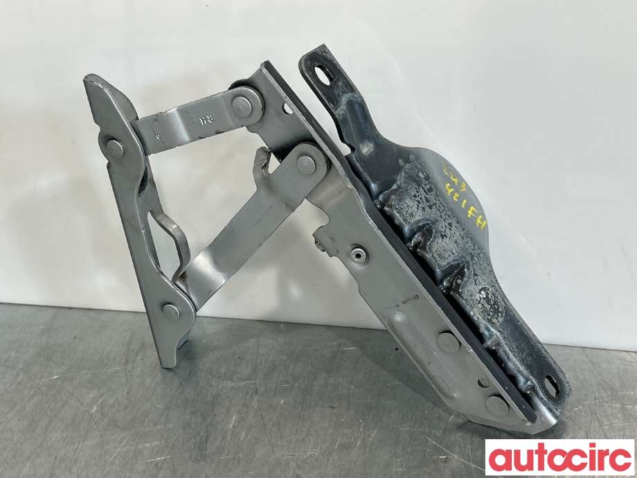 Panserhengsler til Tesla Model S 2013-2016 (Fase 1)  (TESLA|1029285-99-D||1029285-00-C)