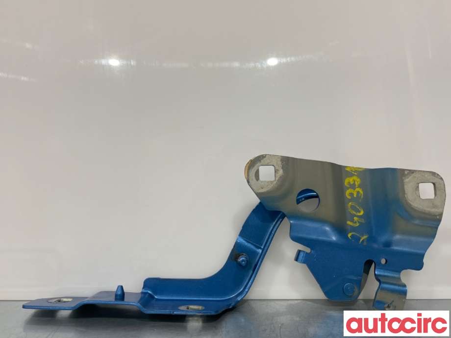 Panserhengsler til Renault Zoe, 2013-2019 (Fase 1)  (RENAULT|654015966R)