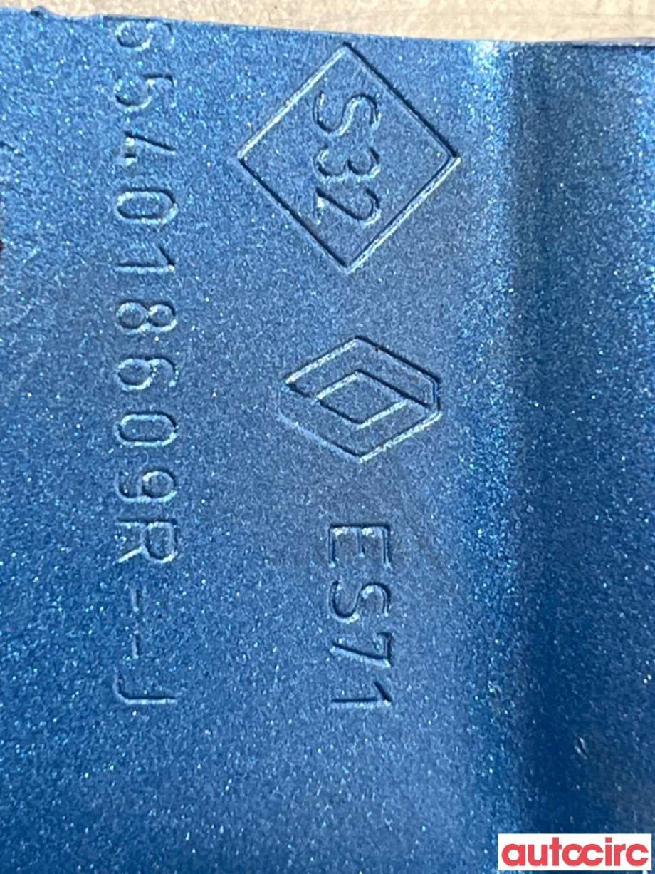 Panserhengsler til Renault Zoe 2013-2019 (Fase 1)  (RENAULT|654015966R||654018609R)