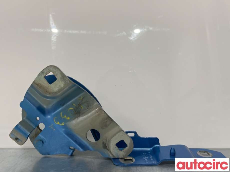 Panserhengsler til Renault Zoe, 2013-2019 (Fase 1)  (RENAULT|654004793R)