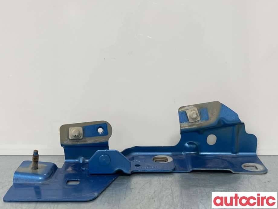 Panserhengsler til Renault Zoe, 2013-2019 (Fase 1)  (RENAULT|631439781R)
