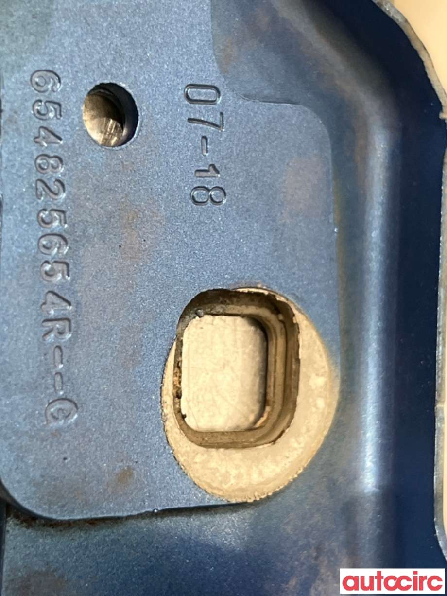 Panserhengsler til Renault Zoe 2013-2019 (Fase 1)  (RENAULT|631439781R||654833942R)