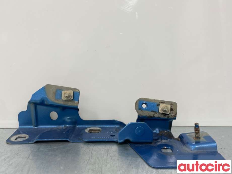 Panserhengsler til Renault Zoe, 2013-2019 (Fase 1)  (RENAULT|631439781R)
