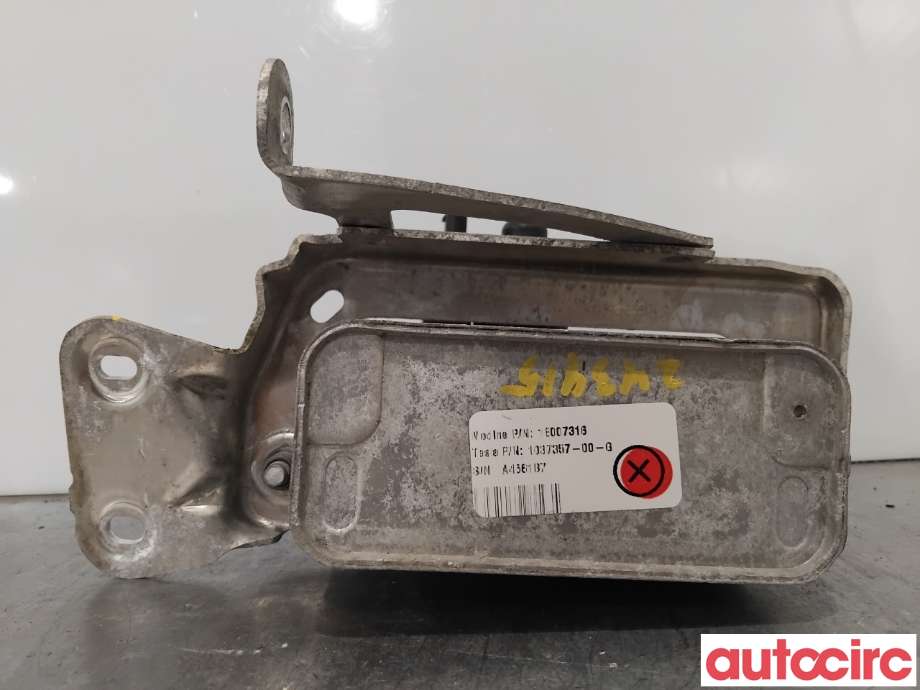 Varmeapparat diverse til Tesla Model S 2016-2021 (Fase 2)  (TESLA|1037357-00-G|)