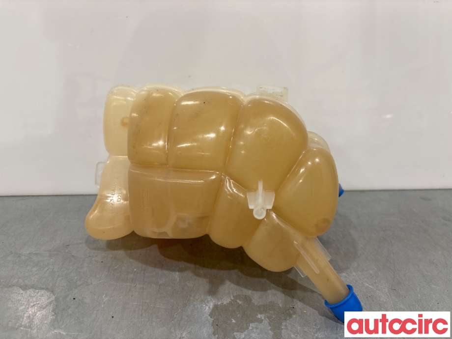Ekspansjonstank til Ford Mondeo 2014-2019 (Type V, Fase 1) (FORD|1863539|DG93-8A080-BA)