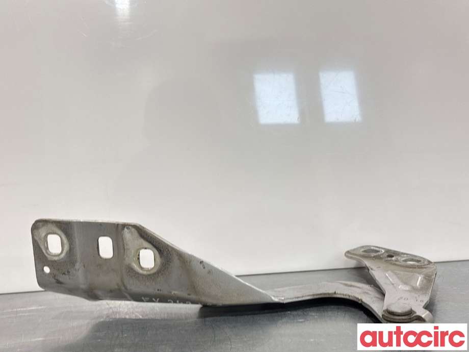 Panserhengsler til Ford Mondeo 2014-2019 (Type V, Fase 1) (FORD|1908912||DS73-F16801-BD)