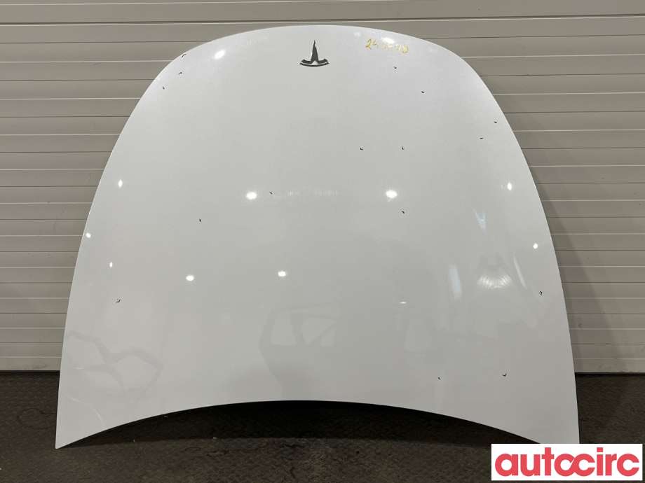 Panser til Tesla Model Y 2021-2024 (Type I) (TESLA|1493370-ED-A)