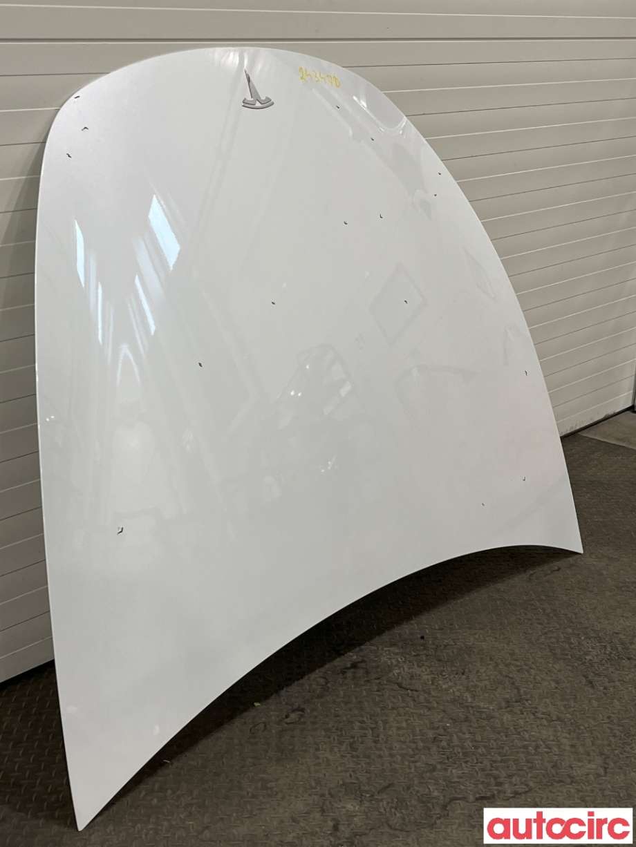 Panser til Tesla Model Y 2021-2024 (Type I) (TESLA|1493370-ED-A)
