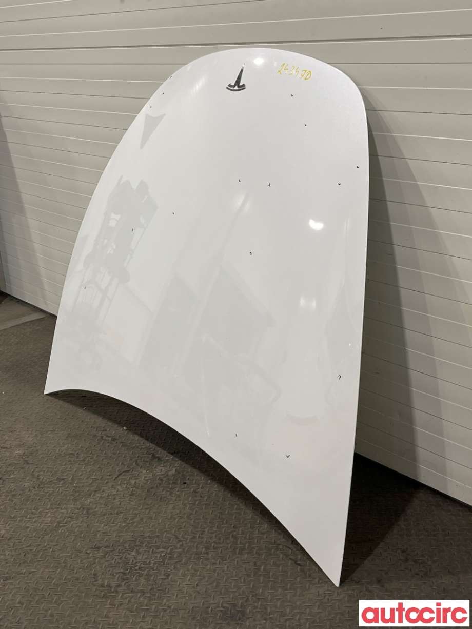 Panser til Tesla Model Y 2021-2024 (Type I) (TESLA|1493370-ED-A)