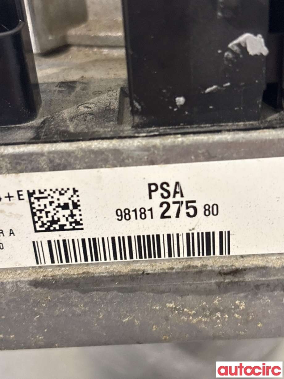 Servo pumpe elektrisk til Citroën Jumpy 2016-->> (Type III)  (CITROEN|1617410580||9818127580)