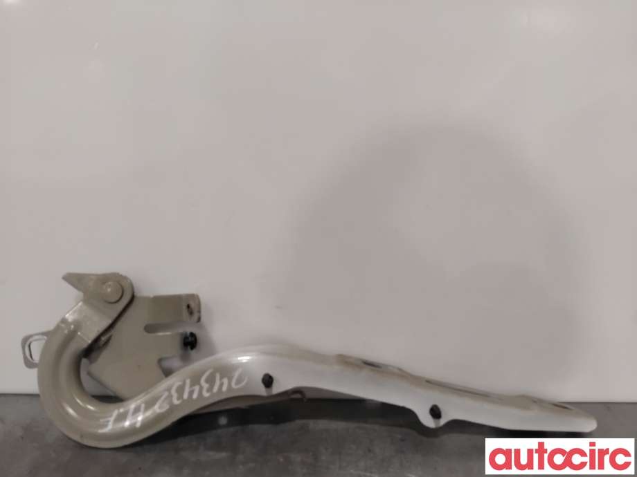 Panserhengsler til Citroën Jumpy 2016-->> (Type III) (CITROEN|9808654480||9823131780)