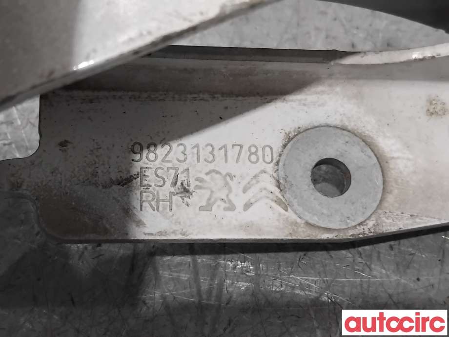 Panserhengsler til Citroën Jumpy 2016-->> (Type III) (CITROEN|9808654480||9823131780)
