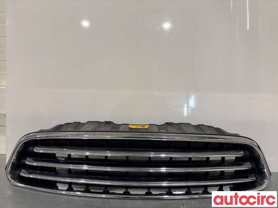 Grill til Mini Countryman, 2010-2016 (R60) (R60) (MINI|51139803635)