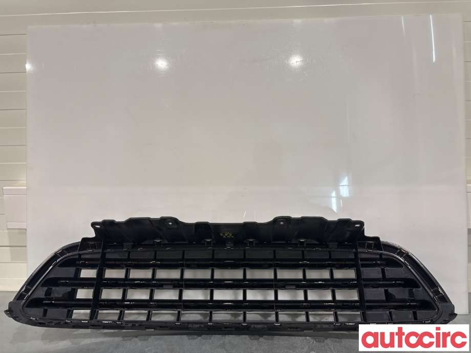 Grill til Mini Countryman 2010-2016 (R60) (R60) (MINI|51139803635|)