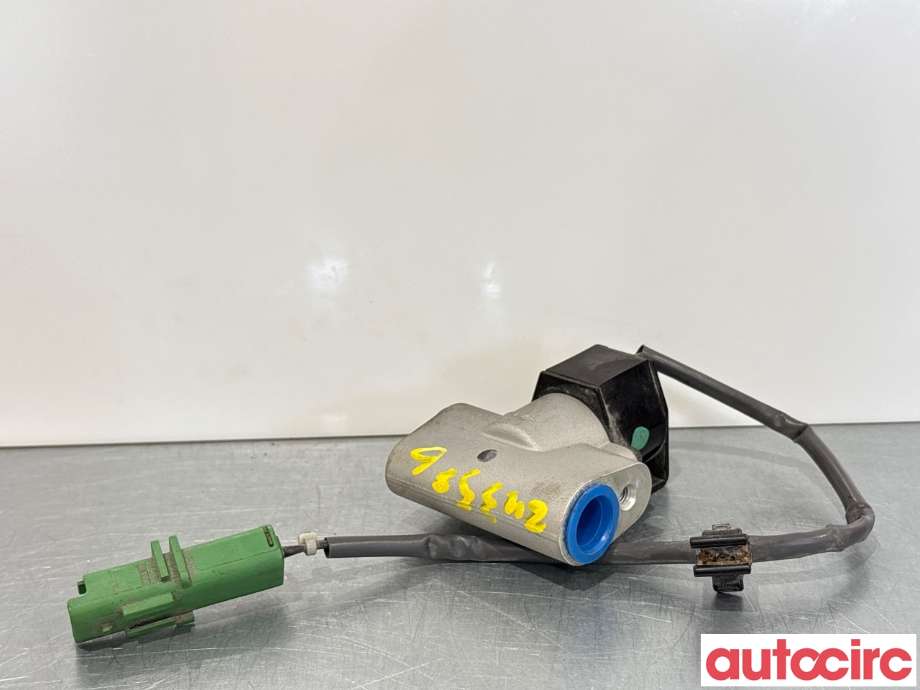 Diverse deler til Renault Zoe 2013-2019 (Fase 1)  (RENAULT|924871682R|443310-1163)