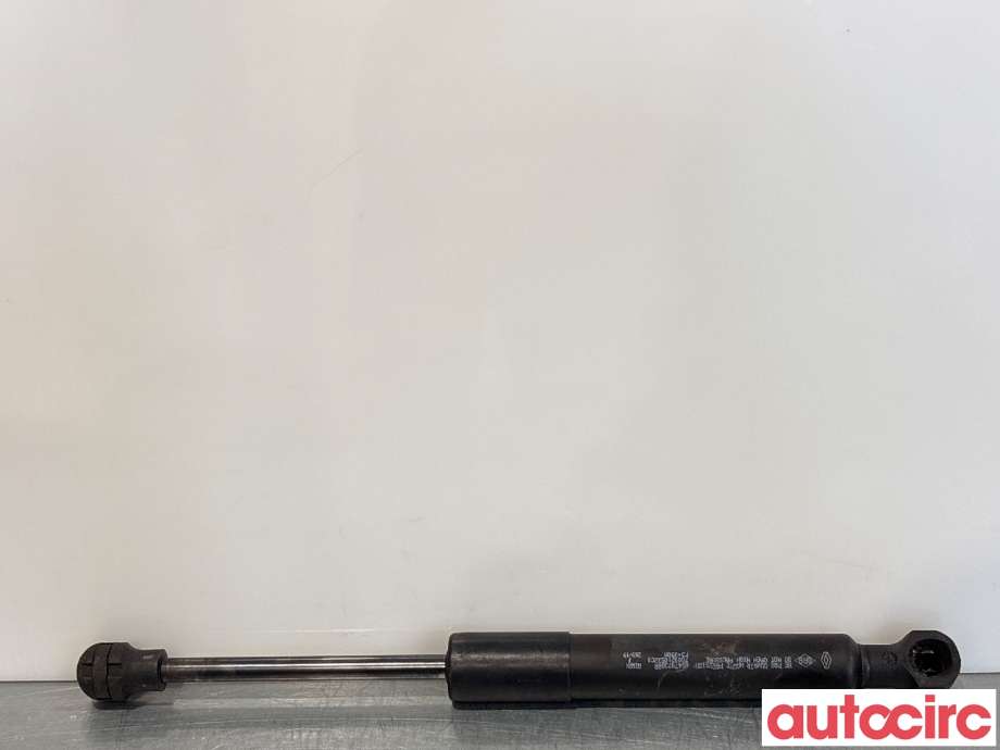 Panserdemper til Renault Zoe, 2013-2019 (Fase 1)  (RENAULT|654707388R)