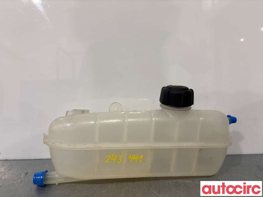 Ekspansjonstank til Renault Zoe, 2013-2019 (Fase 1)  (RENAULT|217101652R)