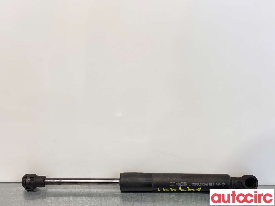 Panserdemper til Renault Zoe, 2013-2019 (Fase 1)  (RENAULT|654707388R)