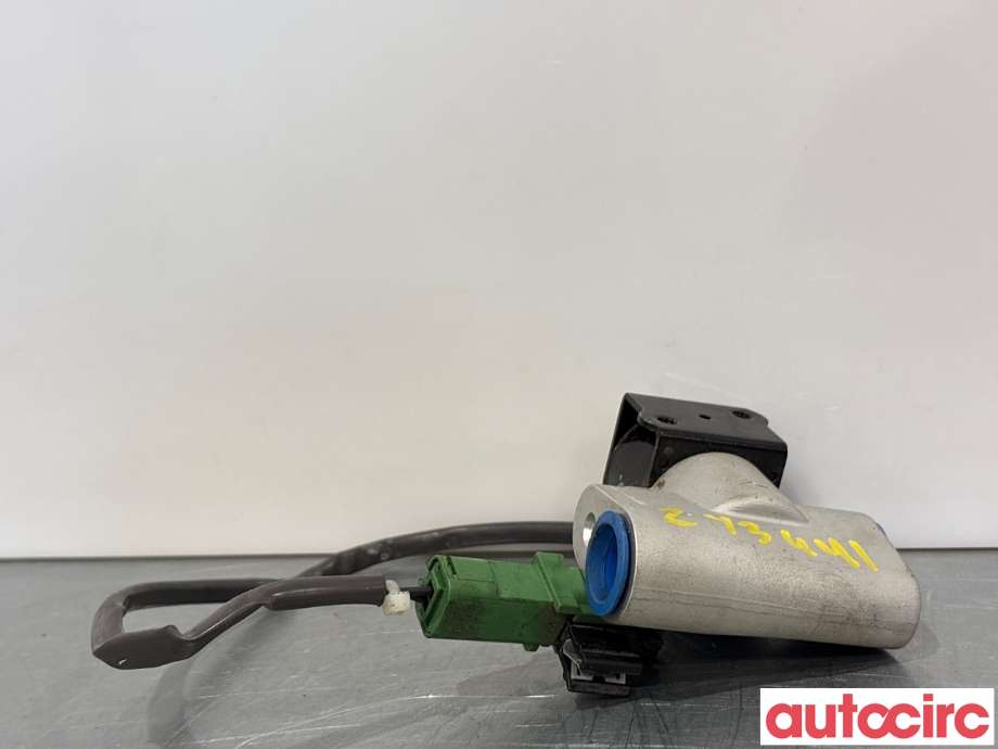 Diverse deler til Renault Zoe 2013-2019 (Fase 1) (RENAULT|924871682R|443310-1163)