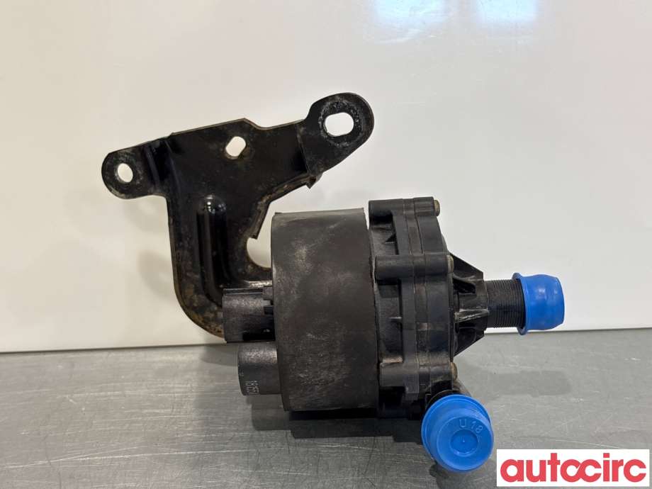 Sirkulasjonspumpe til Renault Zoe, 2013-2019 (Fase 1)  (RENAULT|144B03731R)