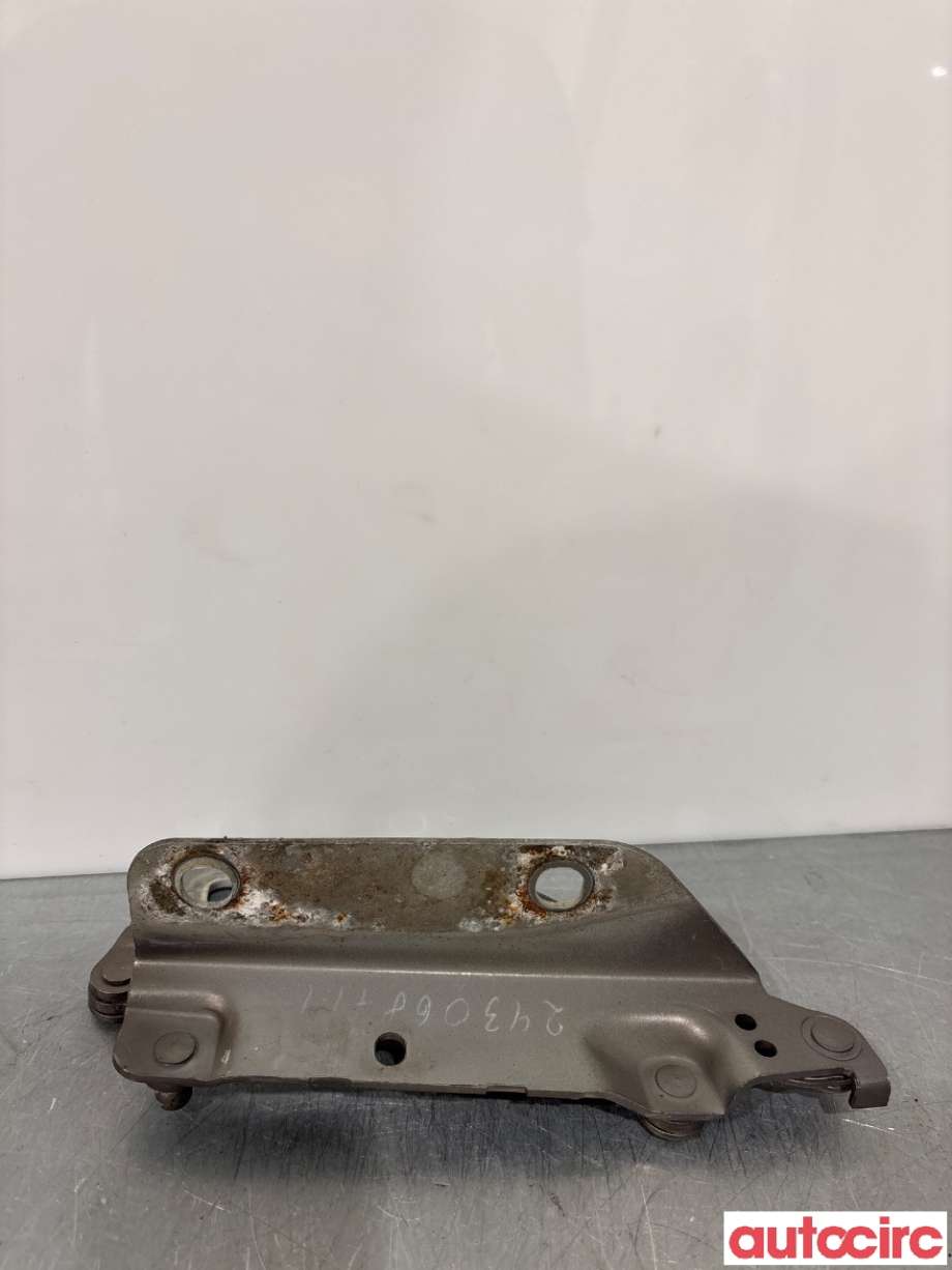 Panserhengsler til Land Rover Range Rover, Evoque 2011-2019 (Type I)  (LAND-ROVER|LR001562||6H52-16800-AC)