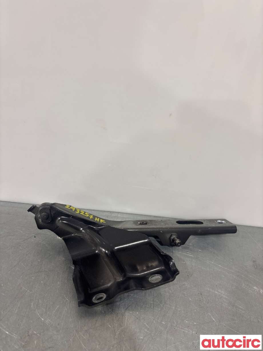 Panserhengsler til Audi Q5 2008-2012 (Type I, Fase 1) (AUDI|8R0823302A||8R0323302A)