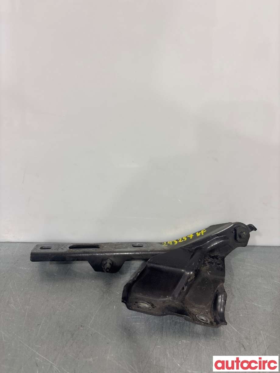 Panserhengsler til Audi Q5 2008-2012 (Type I, Fase 1) (AUDI|8R0823301A|)