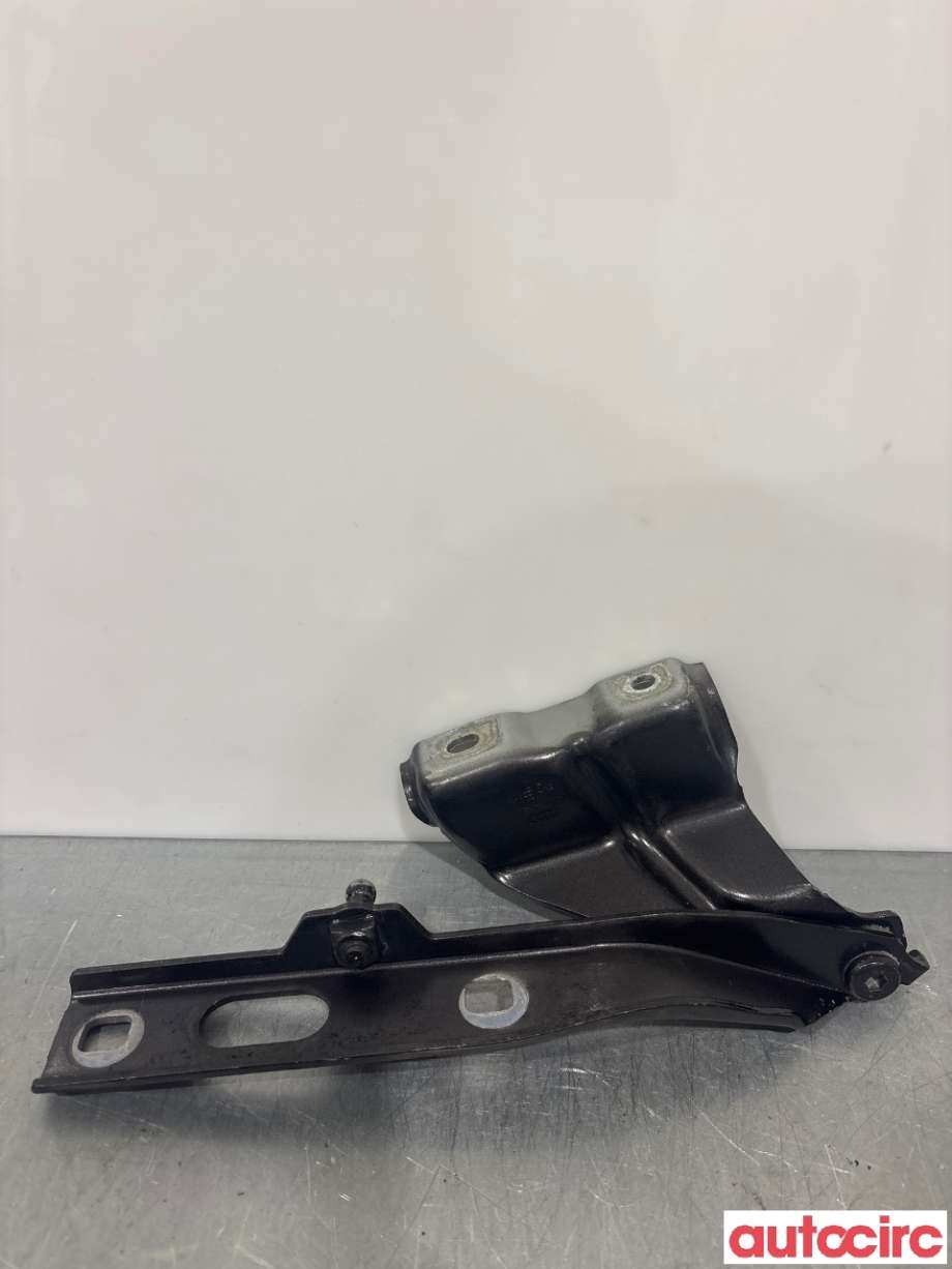 Panserhengsler til Audi Q5 2008-2012 (Type I, Fase 1) (AUDI|8R0823301A|)