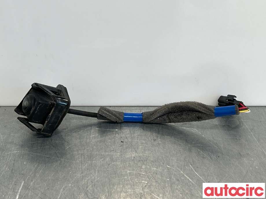 Kamera til Renault Zoe, 2013-2019 (Fase 1)  (RENAULT|284421319R)