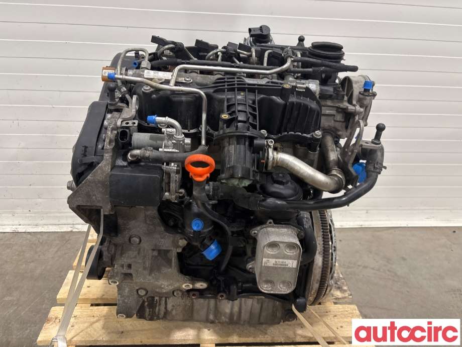 Motor diesel til Audi A3 2009-2012 (Type II, Fase 2)  (AUDI|03L100036K|CAYC|)