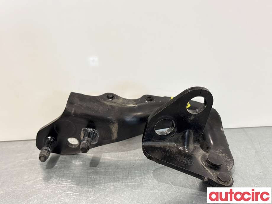 Hengsler til Land Rover Range Rover, Evoque 2011-2019 (Type I)  (LAND-ROVER|LR051478|BJ3242900|LR088975)