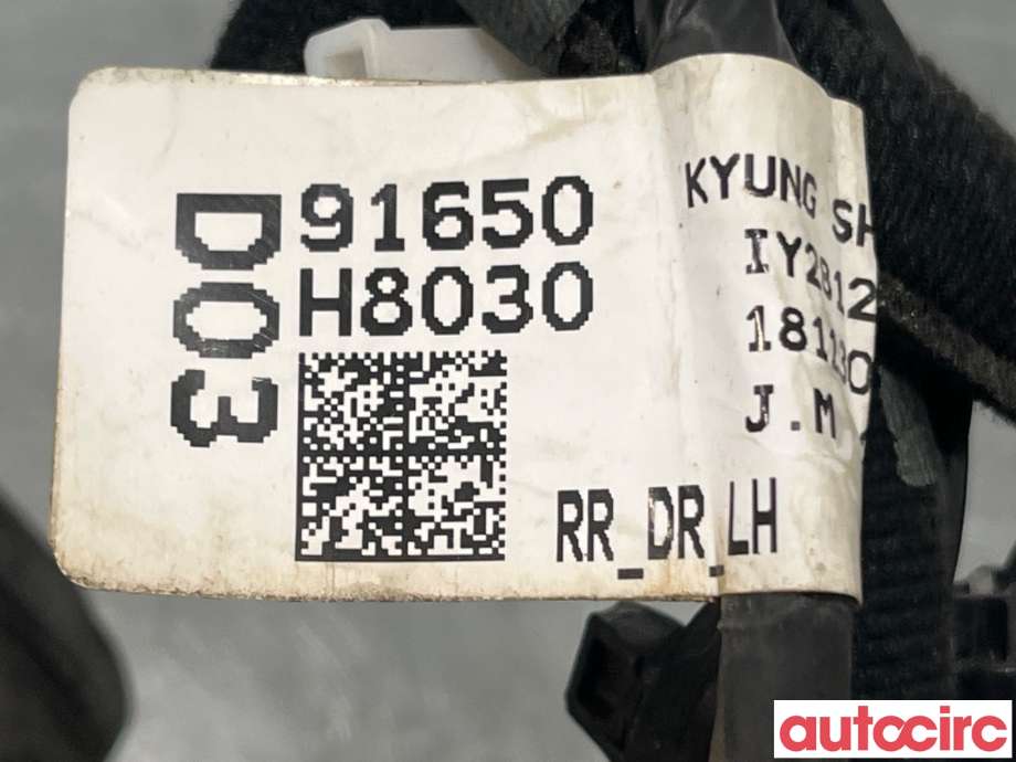 Ledningsnett til Kia Rio 2017-->> Type IV  (KIA|91650H8030|)