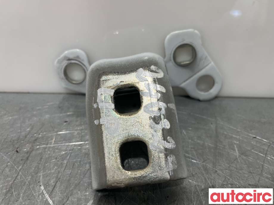 Hengsler til Renault Zoe, 2013-2019 (Fase 1) (RENAULT|804001571R)