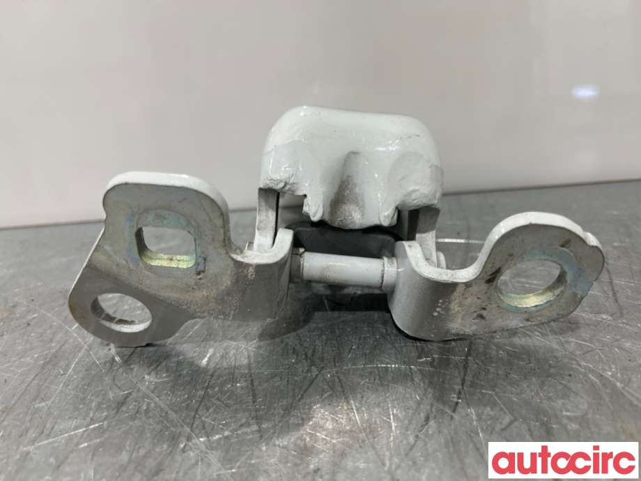 Hengsler til Renault Zoe 2013-2019 (Fase 1)  (RENAULT|804001571R|)