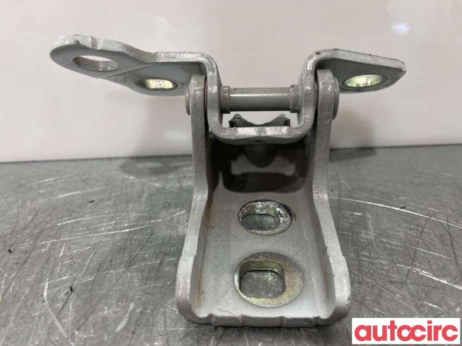 Hengsler til Renault Zoe 2013-2019 (Fase 1)  (RENAULT|804001571R|)