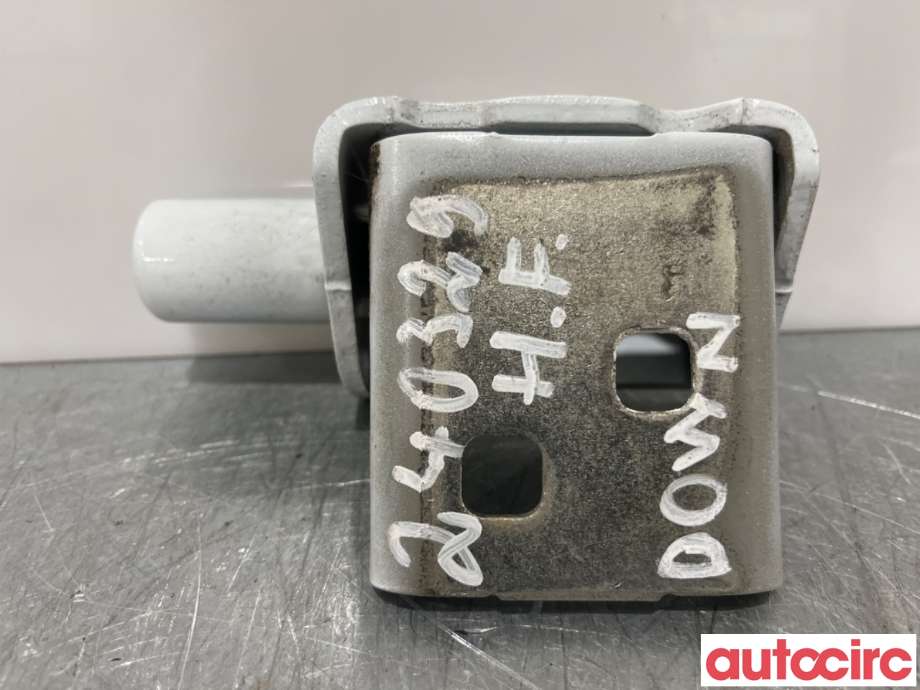 Hengsler til Renault Zoe, 2013-2019 (Fase 1) (RENAULT|804202350R)