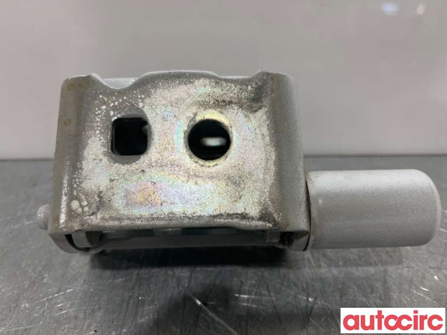 Hengsler til Renault Zoe 2013-2019 (Fase 1) (RENAULT|804202350R|)