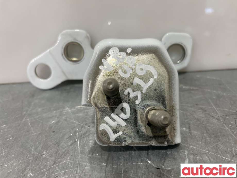 Hengsler til Renault Zoe, 2013-2019 (Fase 1) (RENAULT|824014370R)