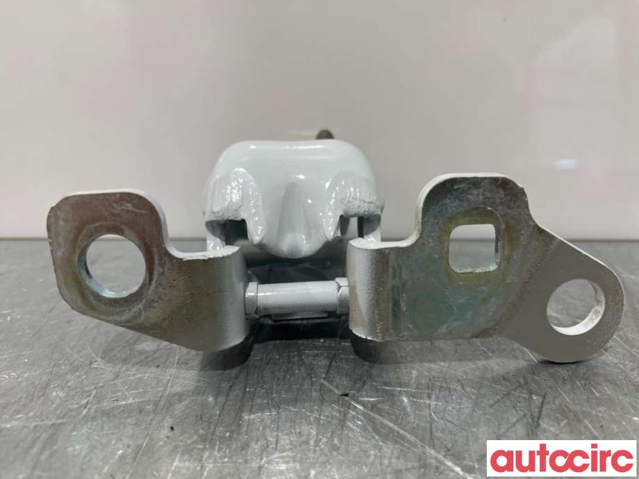Hengsler til Renault Zoe 2013-2019 (Fase 1)  (RENAULT|824014370R|)