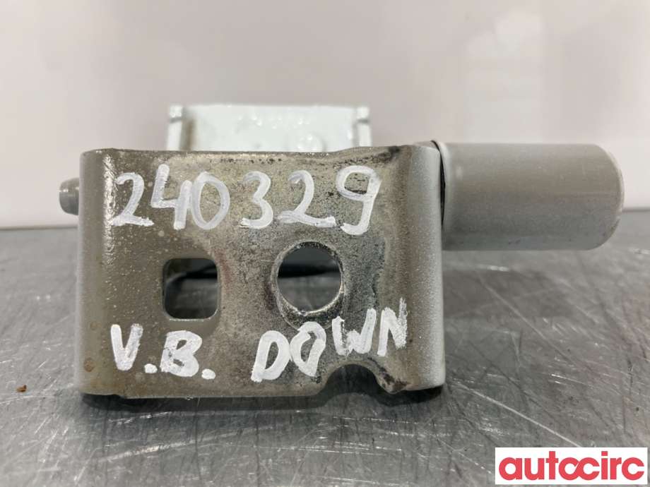 Hengsler til Renault Zoe, 2013-2019 (Fase 1) (RENAULT|824214963R)