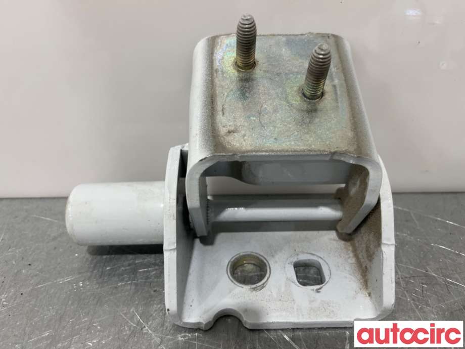 Hengsler til Renault Zoe 2013-2019 (Fase 1)  (RENAULT|824214963R|)
