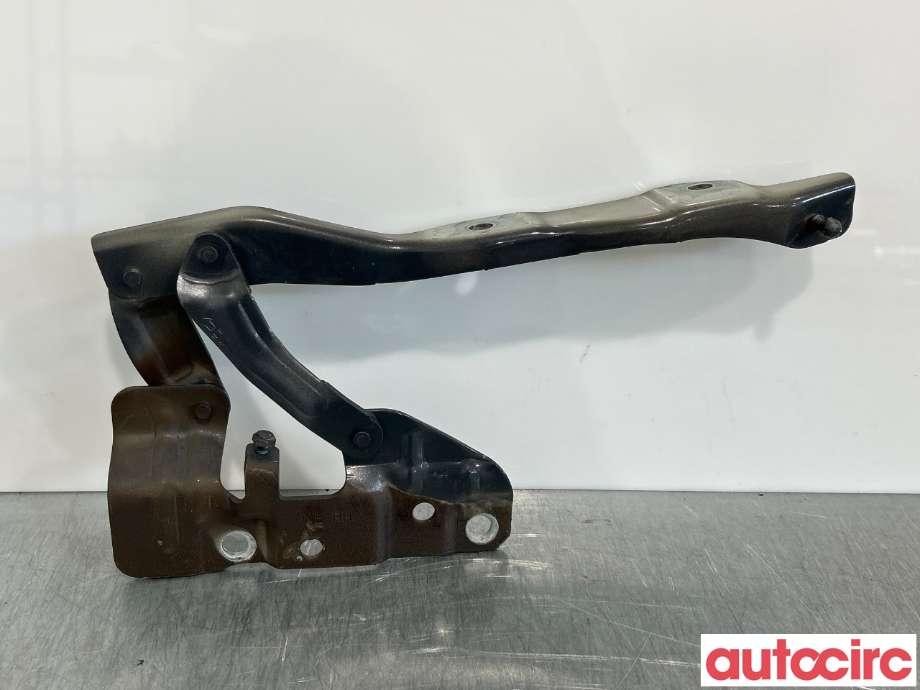 Panserhengsler til Hyundai Ioniq 5 2021-->>  (NO NUMBER|79120|)