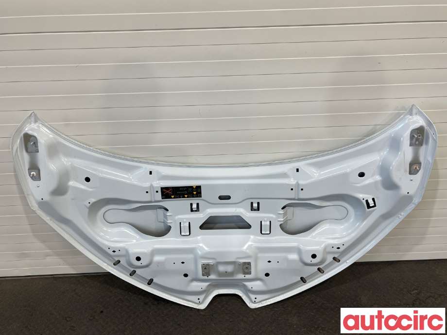 Panser til Renault Zoe 2013-2019 (Fase 1) (651004516R|)