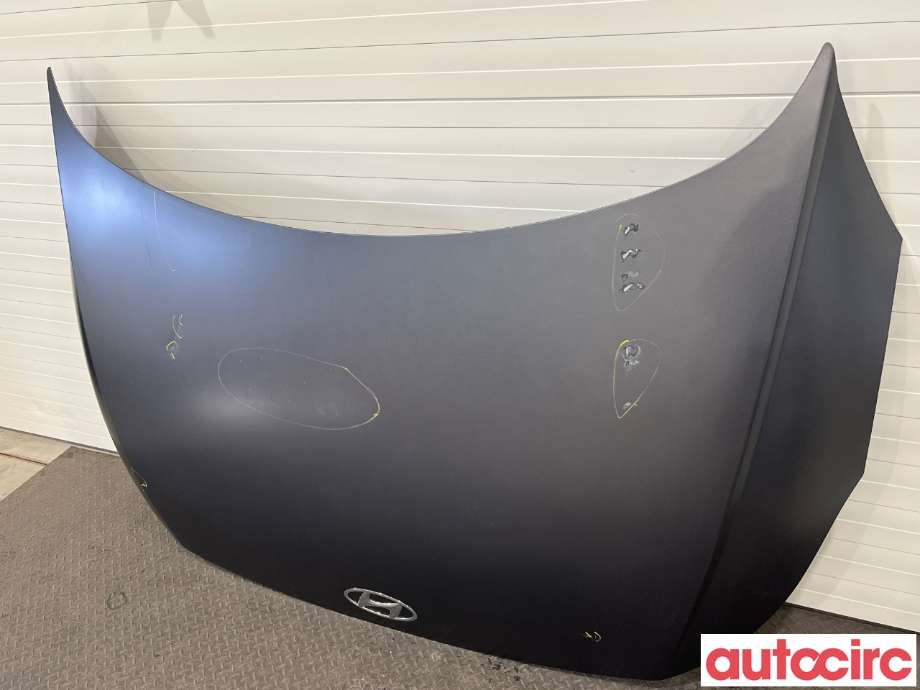 Panser til Hyundai Ioniq 5 2021-->>  (NO NUMBER|)